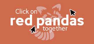 Click on red pandas together background image