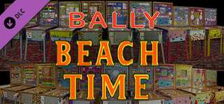 Bingo Pinball Gameroom - Bally Beach Time background image