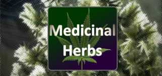 Medicinal Herbs - Cannabis Grow Simulator cover image