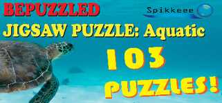 Bepuzzled Jigsaw Puzzle: Aquatic background image