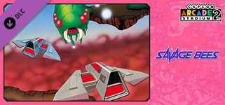 Capcom Arcade 2nd Stadium: SAVAGE BEES background image