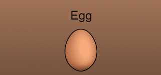Egg background image