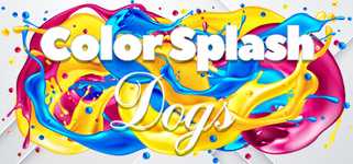 Color Splash: Dogs background image