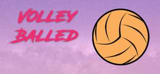 Volleyballed background image