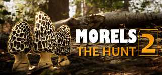 Morels: The Hunt 2 background image