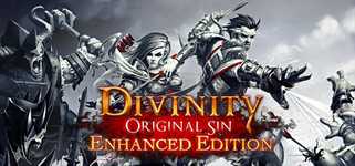 Divinity: Original Sin - Enhanced Edition cover image