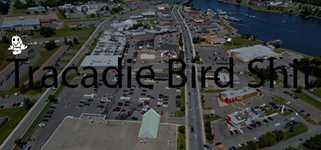 Tracadie Bird Shit background image