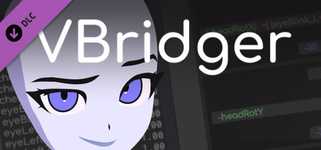 VBridger - Editor background image