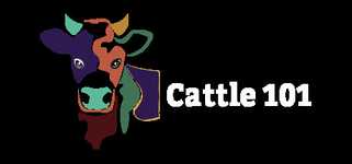 Cattle 101 -  Sample Library background image