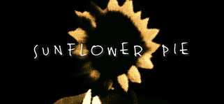 Sunflower Pie background image