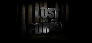 Lost in a Forest background image