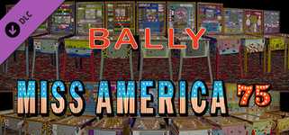 Bingo Pinball Gameroom - Bally Miss America 75 background image