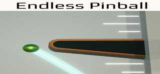 Endless Pinball background image
