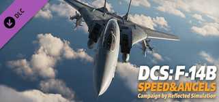 DCS: F-14B Speed and Angels Campaign background image
