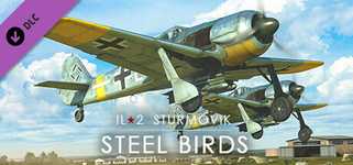IL-2 Sturmovik: Steel Birds Campaign background image