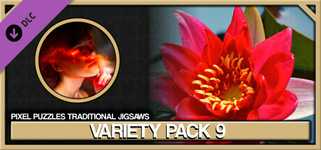 Pixel Puzzles Traditional Jigsaws Pack: Variety Pack 9 cover image