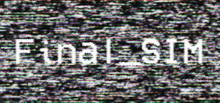 Final_SIM background image