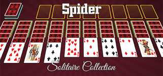 Spider Solitaire Collection cover image