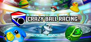 Crazy Ball Racing™ cover image