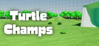 Turtle Champs background image
