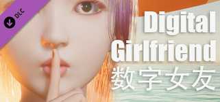 Digital Girlfriend - Expansion cover image