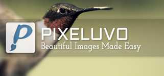 Pixeluvo background image