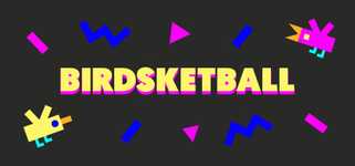 Birdsketball cover image