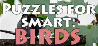 Puzzles for smart: Birds cover image