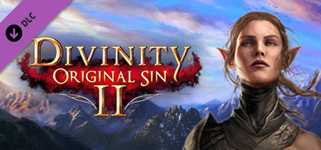 Divinity: Original Sin 2 - Divine Ascension cover image
