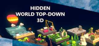Hidden World Top-Down 3D cover image