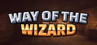 Way of the Wizard cover image