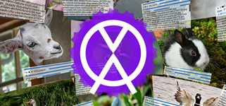 1 multi screen media player gallery video wall photo slideshow wizard app background image