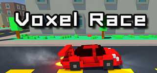 Voxel Race background image