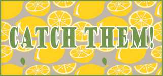 Catch them! cover image