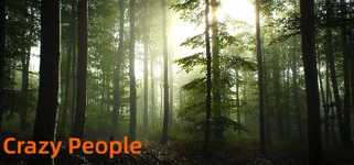 Crazy People cover image