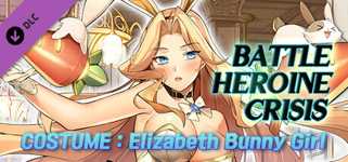 Battle Heroine Crisis COSTUME : Elizabeth Bunny Girl cover image