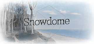 Snowdome background image