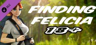 Finding Felicia Adults Only 18+ Patch cover image