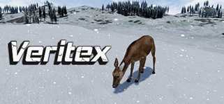 Veritex background image