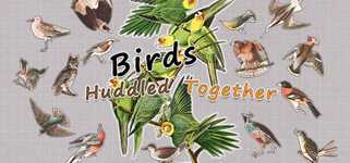Birds Huddled Together cover image