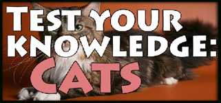 Test your knowledge: Cats cover image