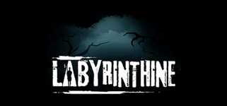 Labyrinthine background image