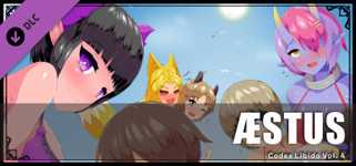 Codex Libido :  Aestus cover image