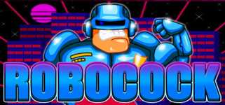 ROBOCOCK cover image