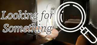 Looking for Something cover image