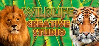 Wildlife Creative Studio cover image