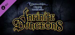 Neverwinter Nights: Infinite Dungeons cover image
