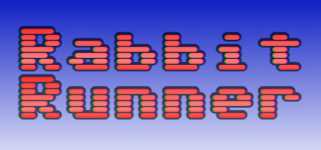 Rabbit Runner cover image