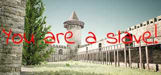 You are a slave! cover image