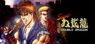 Super Double Dragon cover image